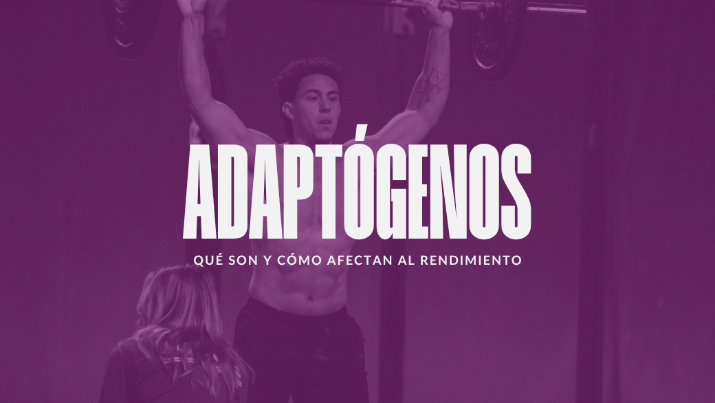 Adaptógenos: qué son y cómo afectan al rendimiento