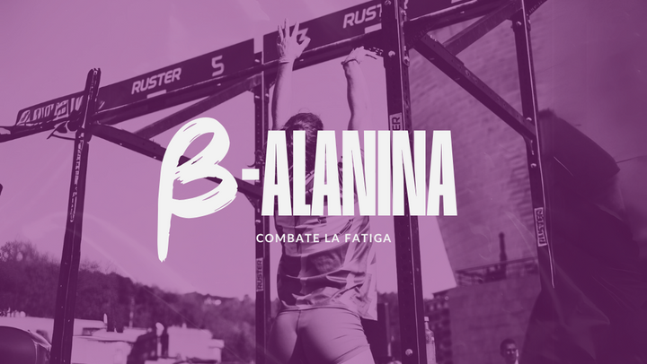 β-alanina: el tampón fisiológico que combate la fatiga