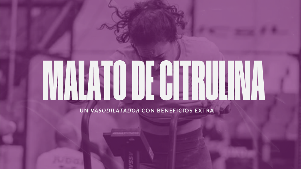 Malato de citrulina: un vasodilatador con beneficios extra